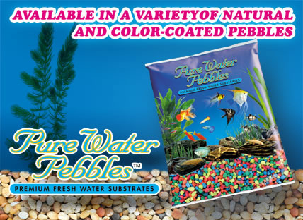 Available in a variety of colors Available in a variety of colors